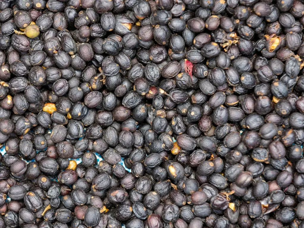 Preserved Plum