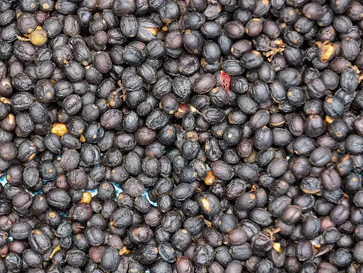 Preserved Plum
