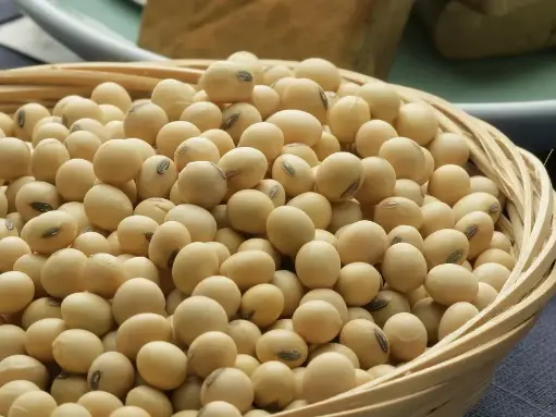 Crispy Soybeans